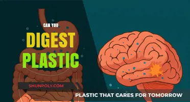 Unraveling the Truth: Can Our Bodies Really Digest Plastic?
