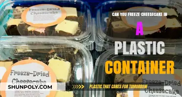 The Ultimate Guide to Freezing Cheesecake in Plastic Containers