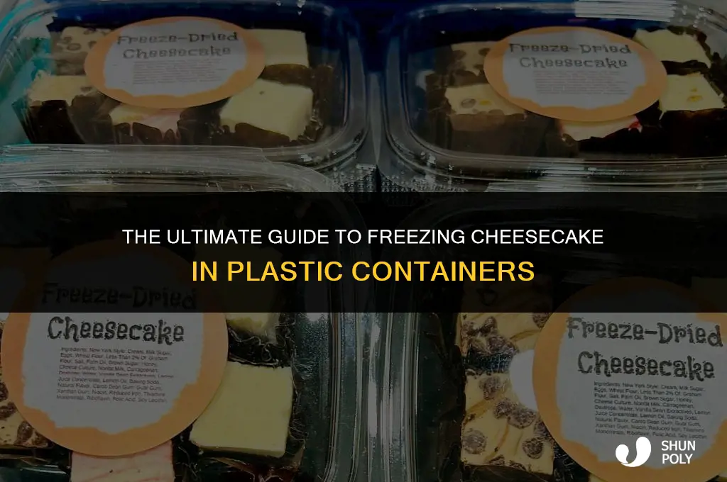 can you freeze cheesecake in a plastic container