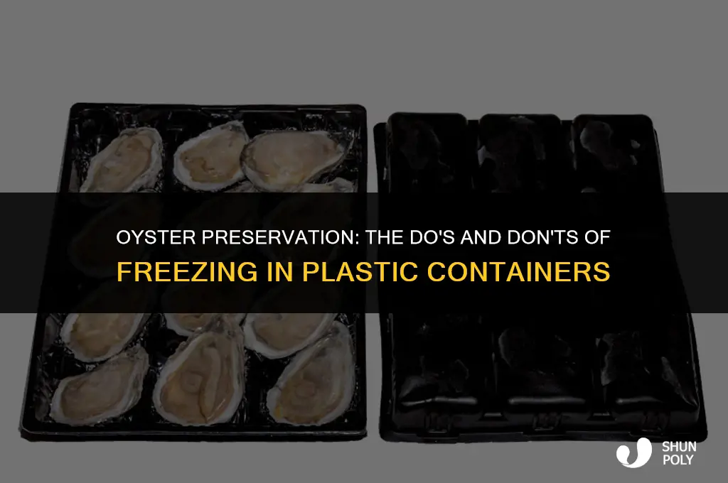 can you freeze oysters in plastic container