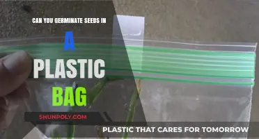 Sprouting Seeds: Plastic Bag Method
