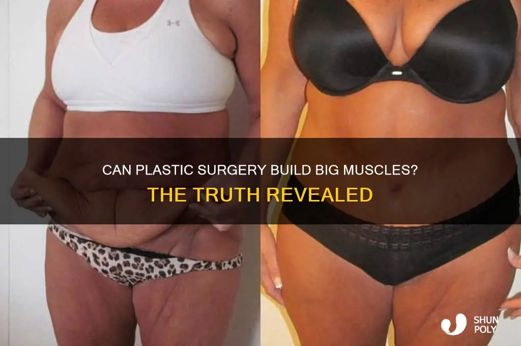 can you get big muscles from plastic surgery