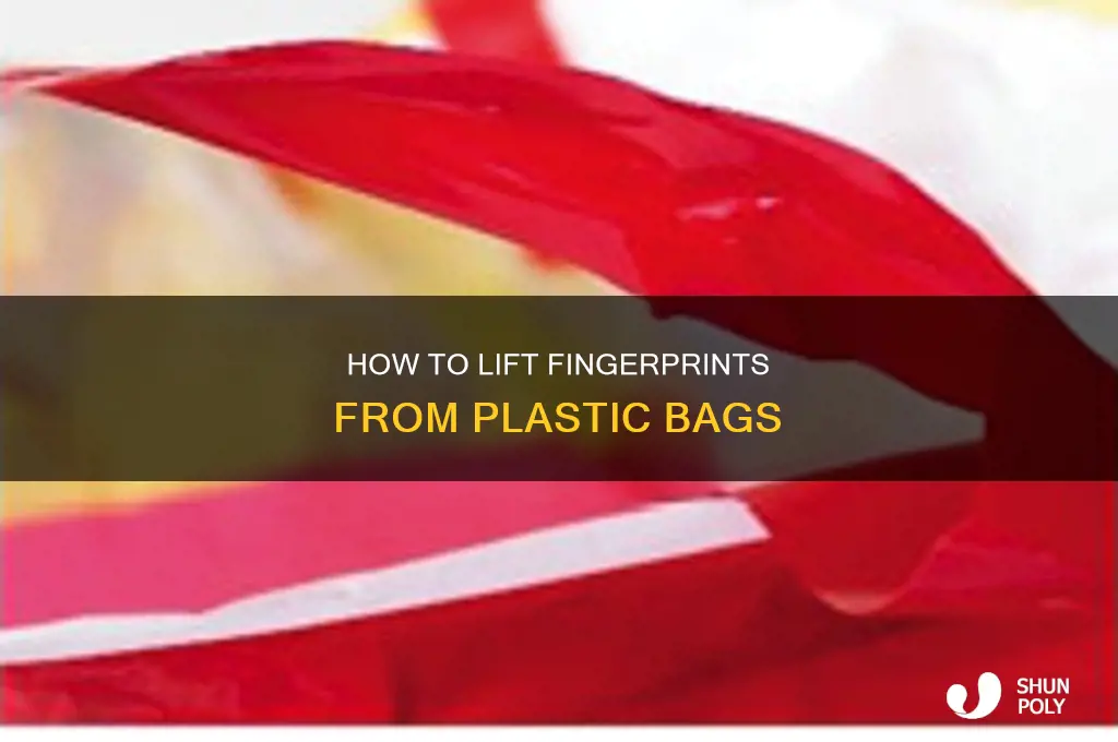 can you get fingerprints off plastic bags
