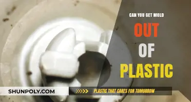 Effective Strategies to Remove Mold from Plastic Surfaces
