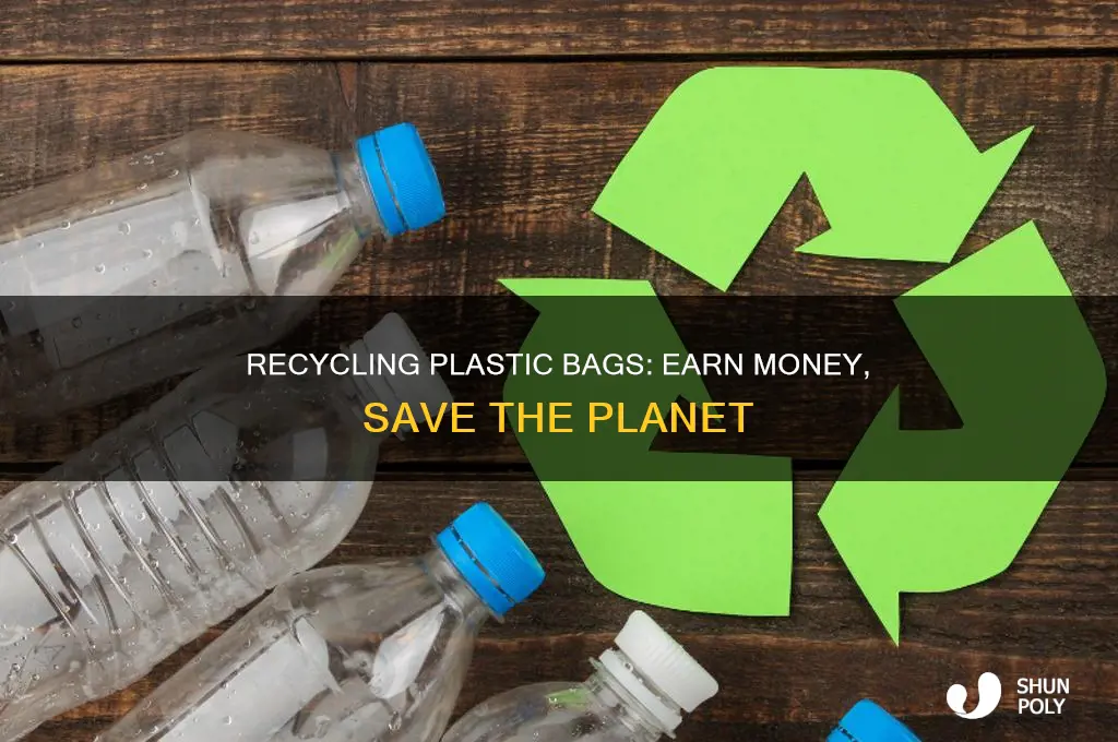 can you get money for recycling plastic bags