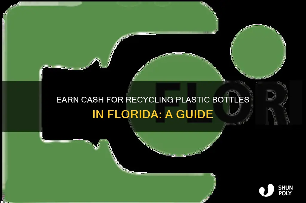 can you get money for recycling plastic bottles in florida