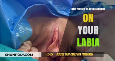 Labia Plastic Surgery: Exploring Options, Risks, and Personal Choices