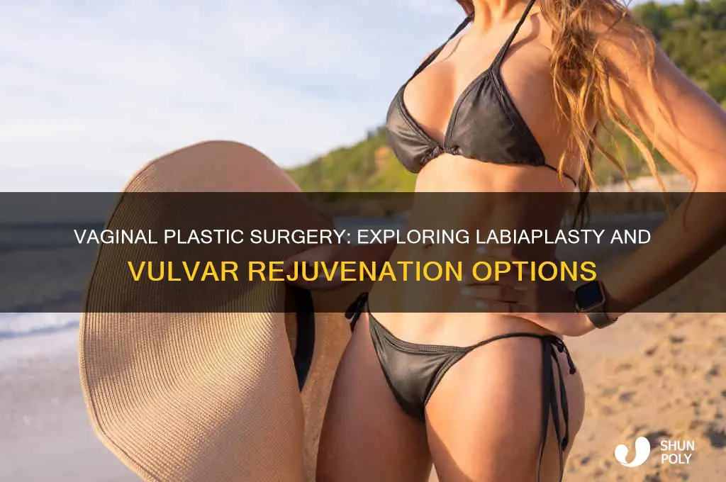 can you get plastic surgery on your vagina
