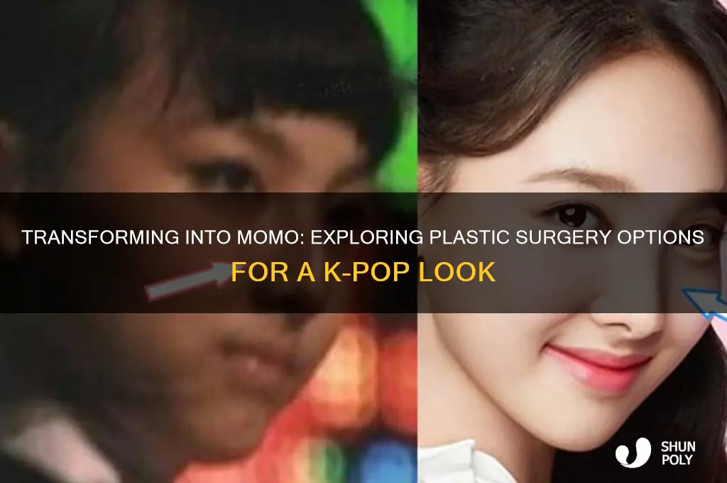 can you get plastic surgery to look like momo