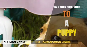 Is It Safe for Puppies to Chew on Plastic Bottles?