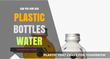 Is It Safe for Dogs to Drink Water from Plastic Bottles?