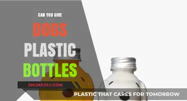 Are Plastic Bottles Safe for Dogs? What Pet Owners Need to Know