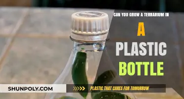 Growing Terrariums in Plastic Bottles: A Sustainable DIY Guide