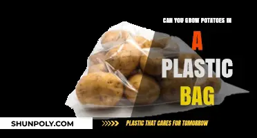 Grow Potatoes in a Plastic Bag: A Quick Guide