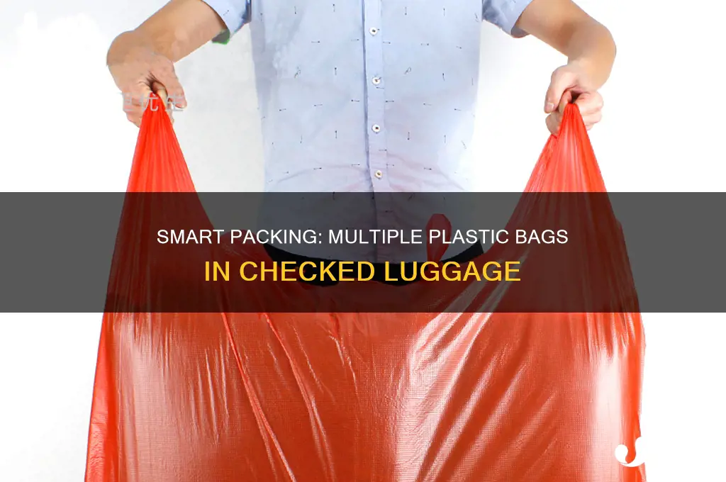 can you have more than one plastic bag in luggage