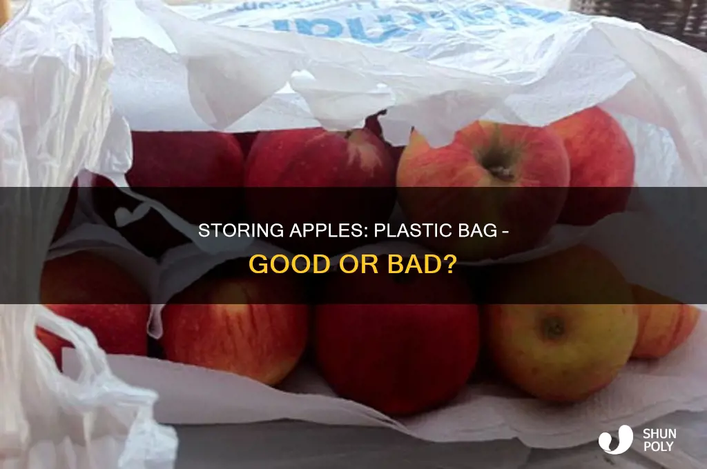 can you keep apples in a plastic bag