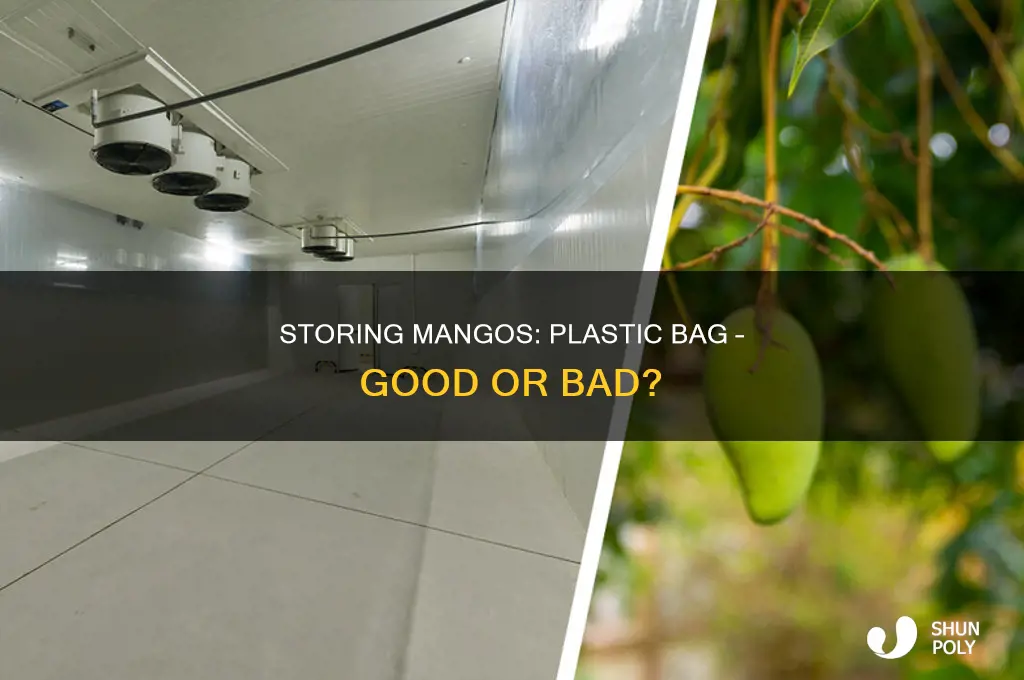 can you keep mangos in a plastic bag