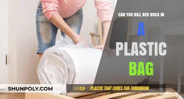 How to Kill Bed Bugs in Plastic Bags?