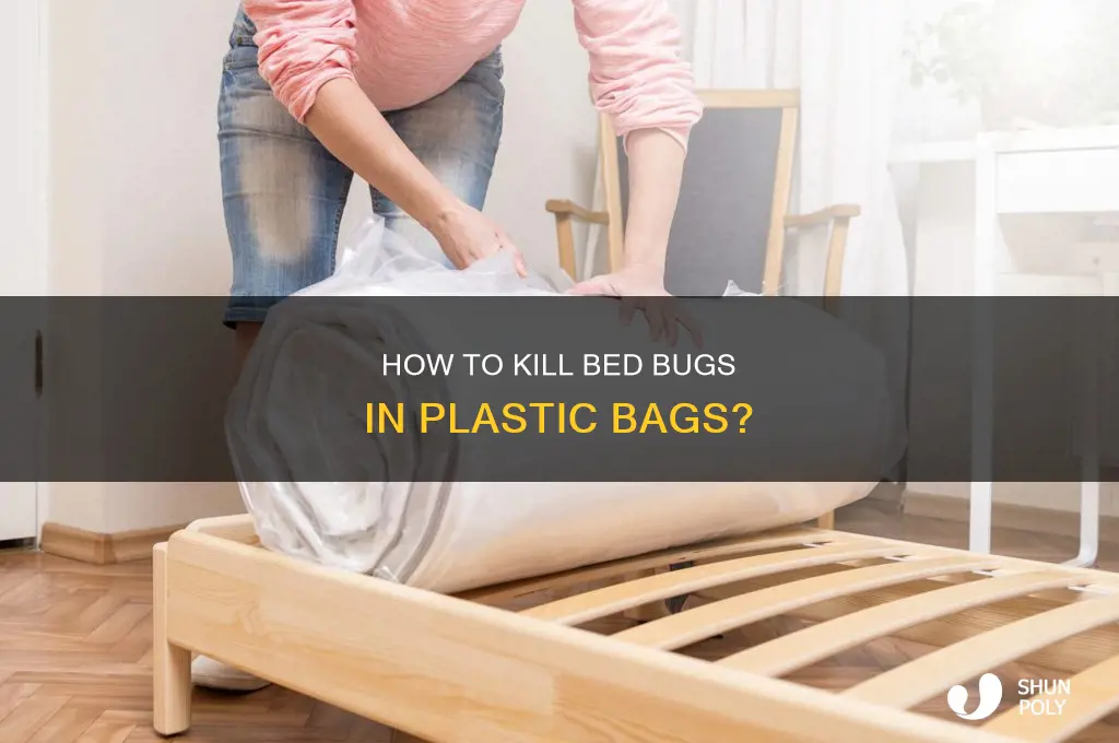 can you kill bed bugs in a plastic bag