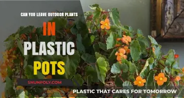 Potted Plants Outdoors: To Leave or Not to Leave?