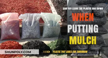 Mulching 101: Plastic Bag Do's and Don'ts