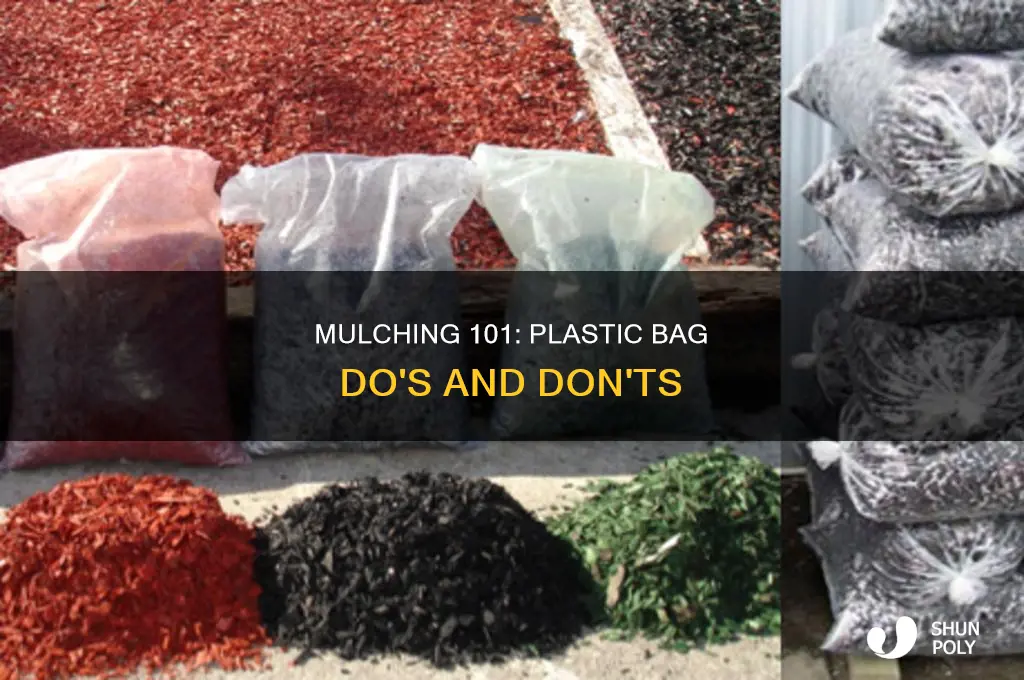 can you leave the plastic bag down when putting mulch