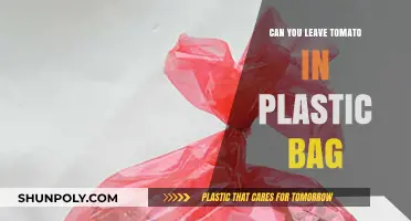 Storing Tomatoes: Plastic Bag Pros and Cons