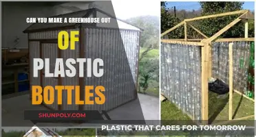 Eco-Friendly Gardening: Building a Greenhouse with Plastic Bottles