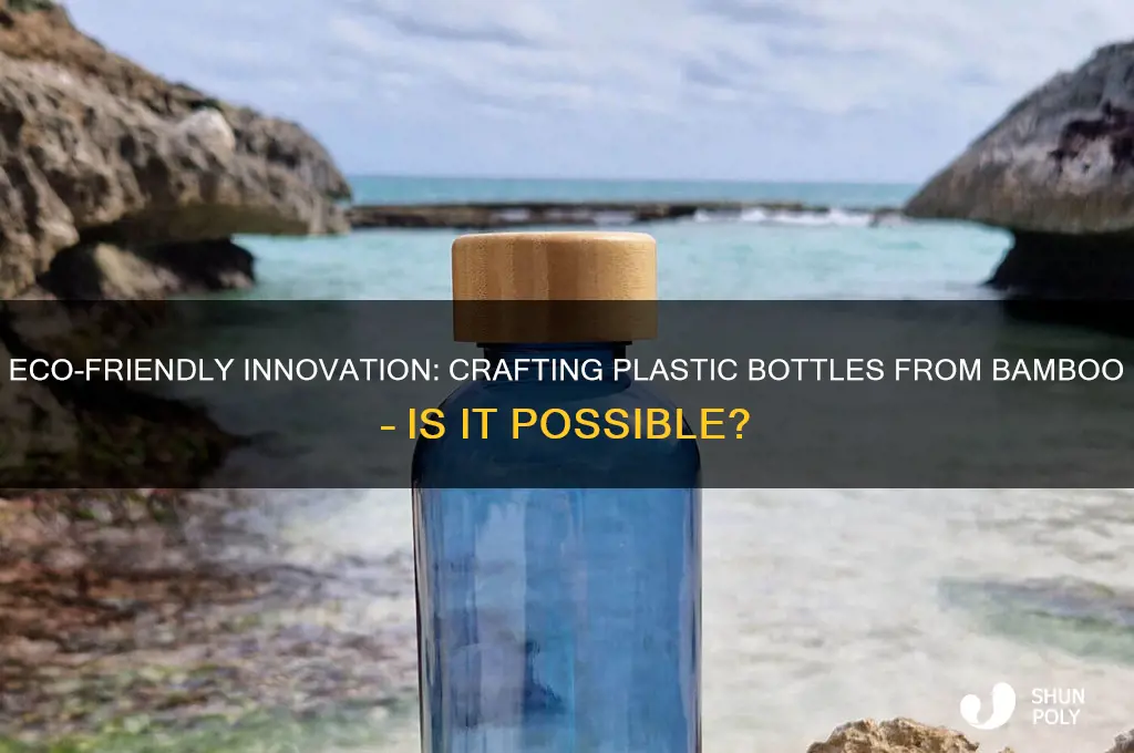 can you make a plastic bottle from bamboo