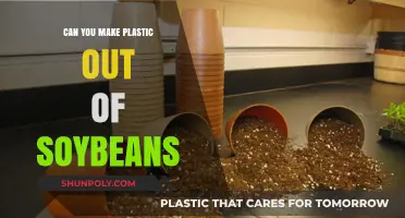 Soybean Revolution: Transforming Agriculture into Sustainable Plastics