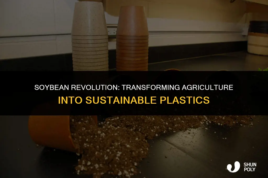 can you make plastic out of soybeans