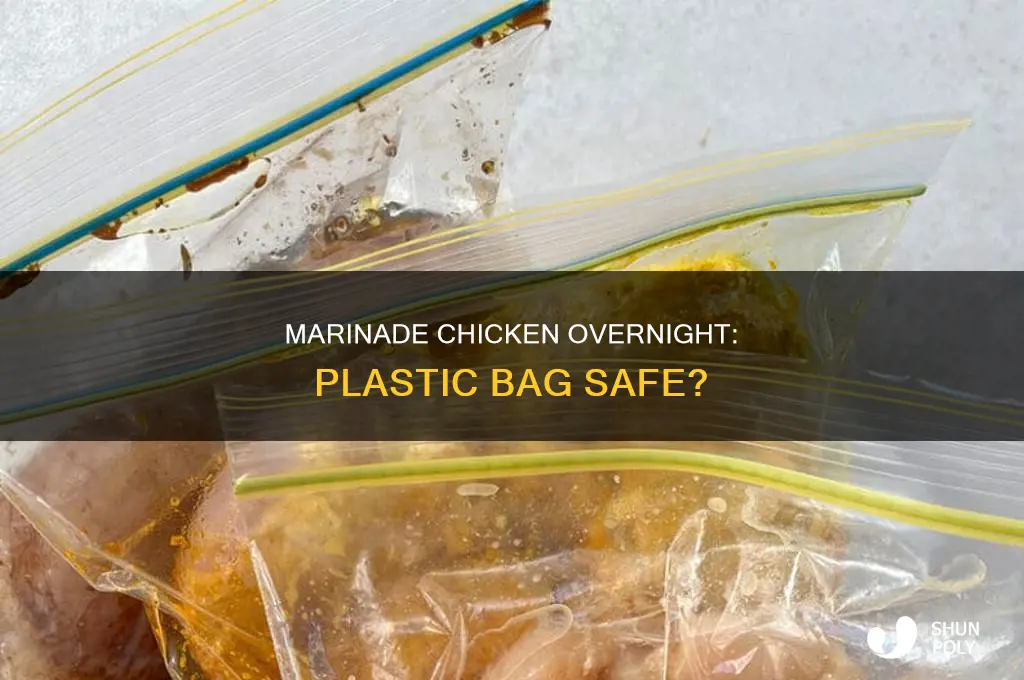 can you marinade chicken in a plastic bag overnight