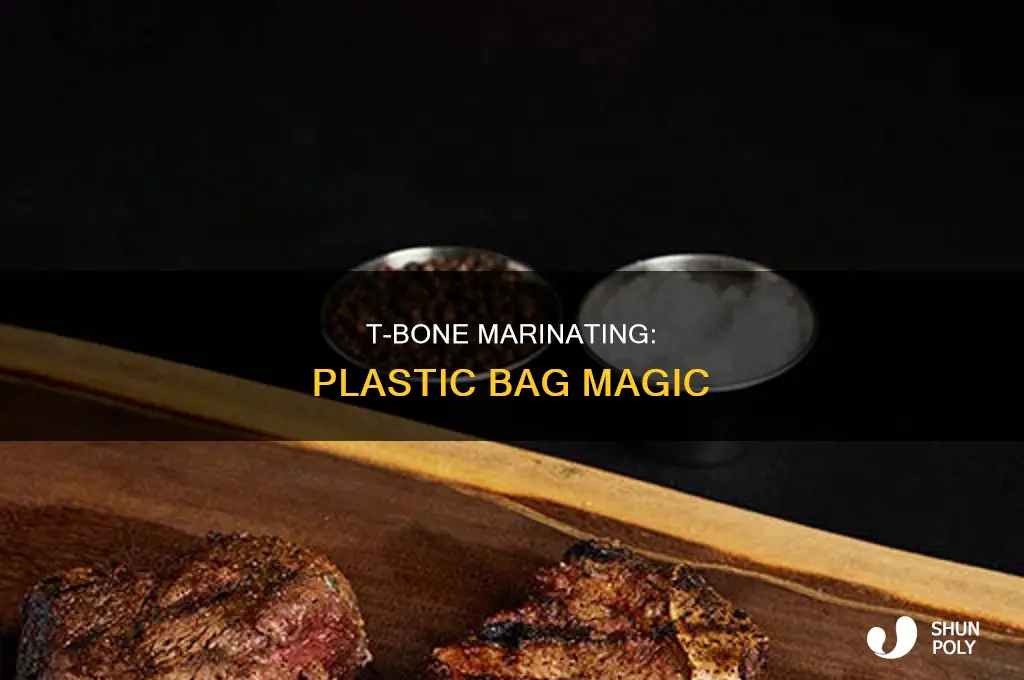 can you marinate a t bone in a plastic bag