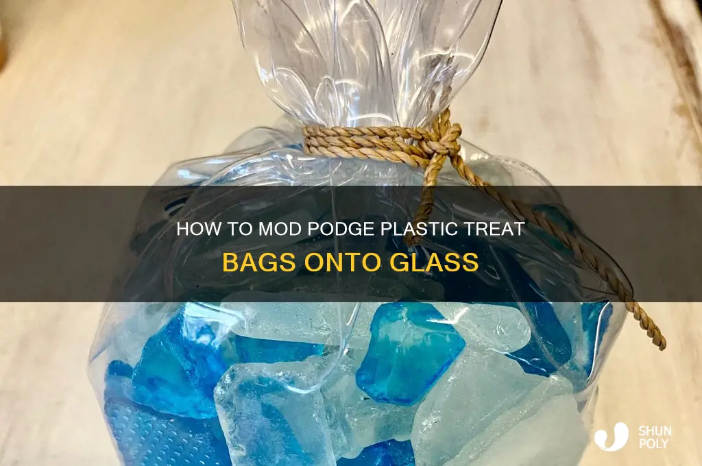can you mod podge plastic treat bag on to glass
