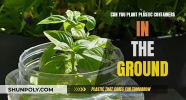 Eco-Friendly Gardening: Reusing Plastic Containers for Ground Planting
