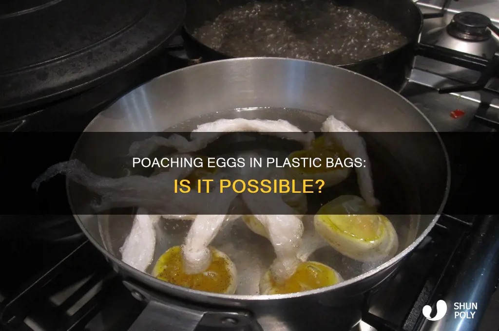 can you poach an egg in a plastic bag