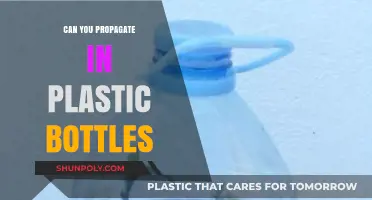 Propagating Plants in Plastic Bottles: A Sustainable Gardening Hack