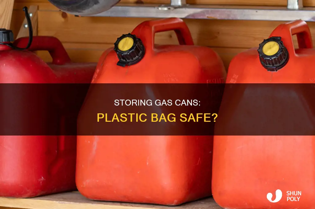 can you put a gas can in a plastic bag