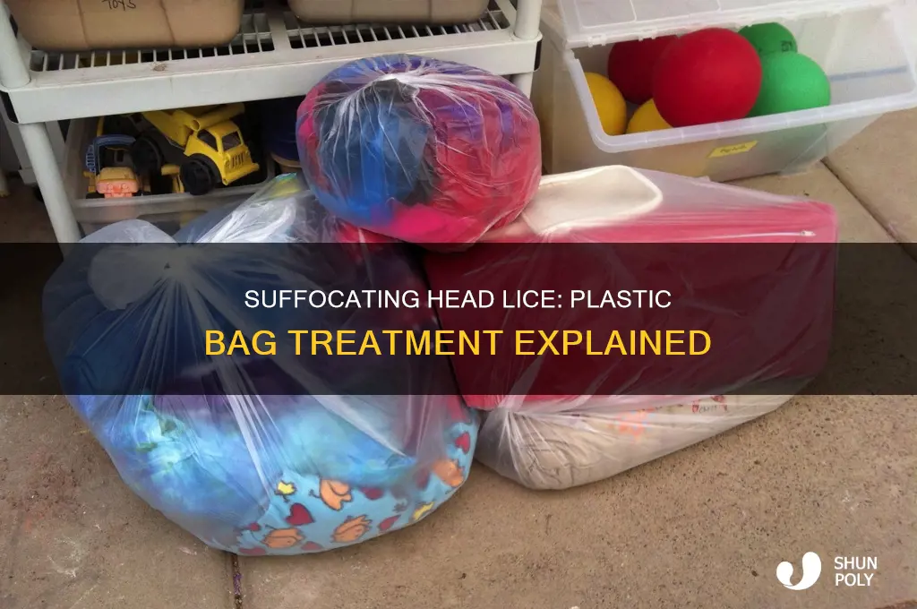 can you put a plastic bag on head lice