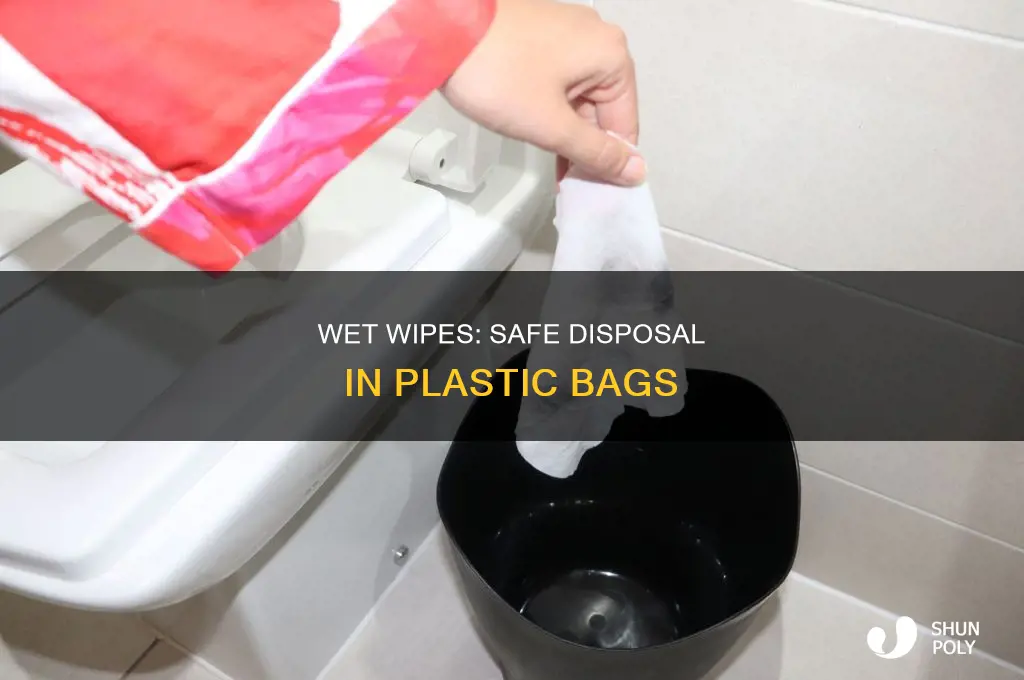 can you put a wet wipe in a plastic bag