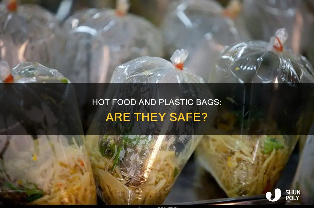 can you put hot food in plastic bags bpa