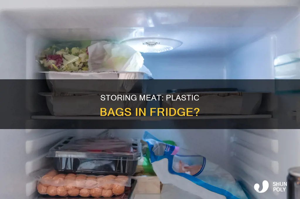 can you put meat in fridge in plastic bag