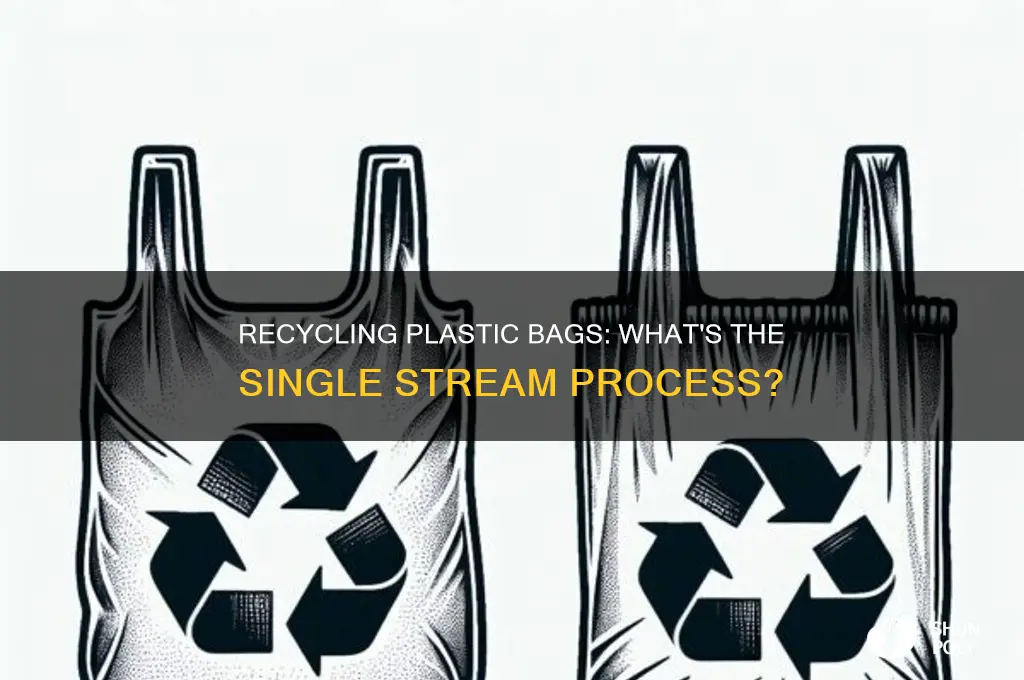 can you put plastic bags in single stream recycling
