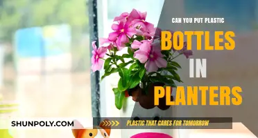 Using Plastic Bottles in Planters: Eco-Friendly Gardening Tips and Tricks