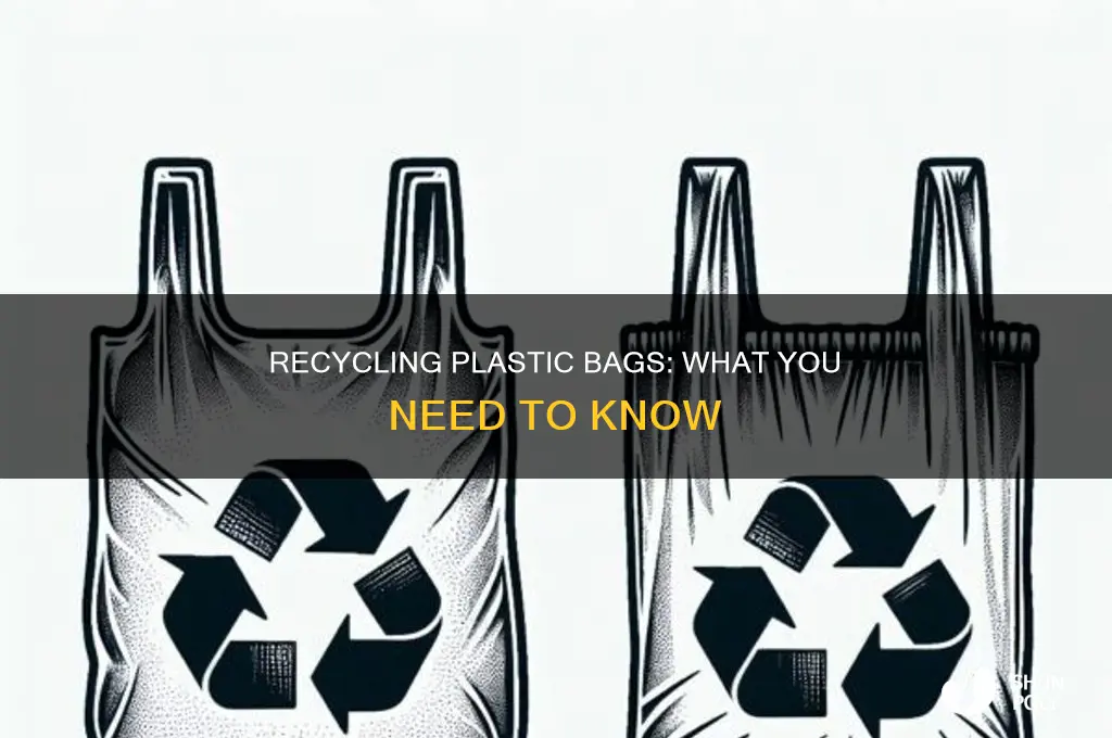 can you put plastic grocery bags in republic recycling services