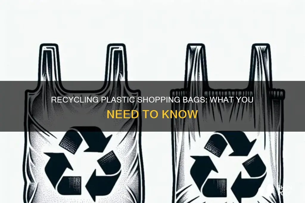 can you put plastic shopping bags in recycling bin