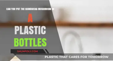 Kombucha Mushroom in Plastic Bottles: Safe or Risky Practice?