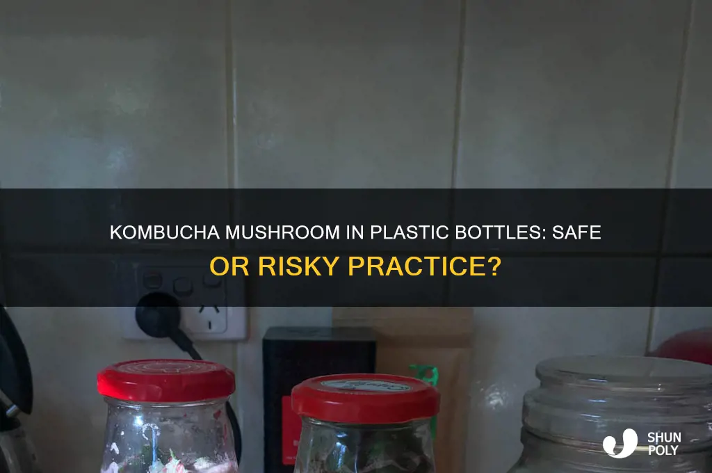 can you put the kombucha mushroom in a plastic bottles