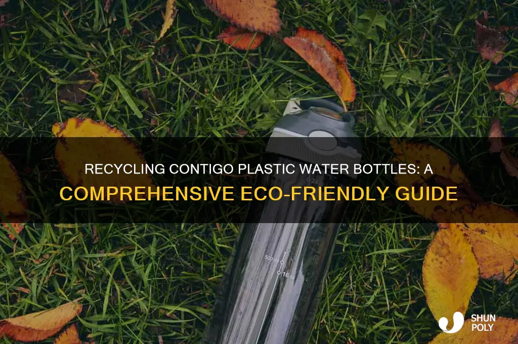 can you recycle contigo plastic water bottle