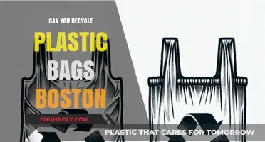 Recycling Plastic Bags: Boston's Guide to Going Green